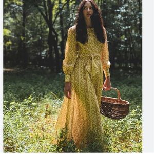 NWOT Dorothea Dress.